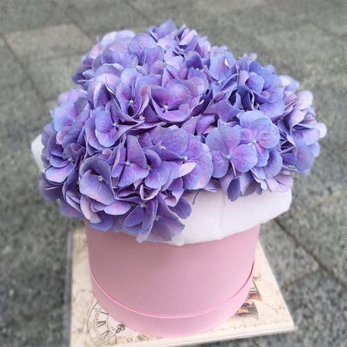 2734 - صورة 1