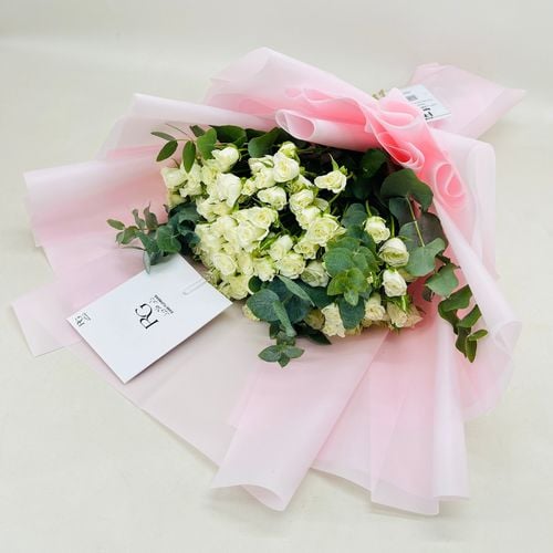 6612 - صورة 2