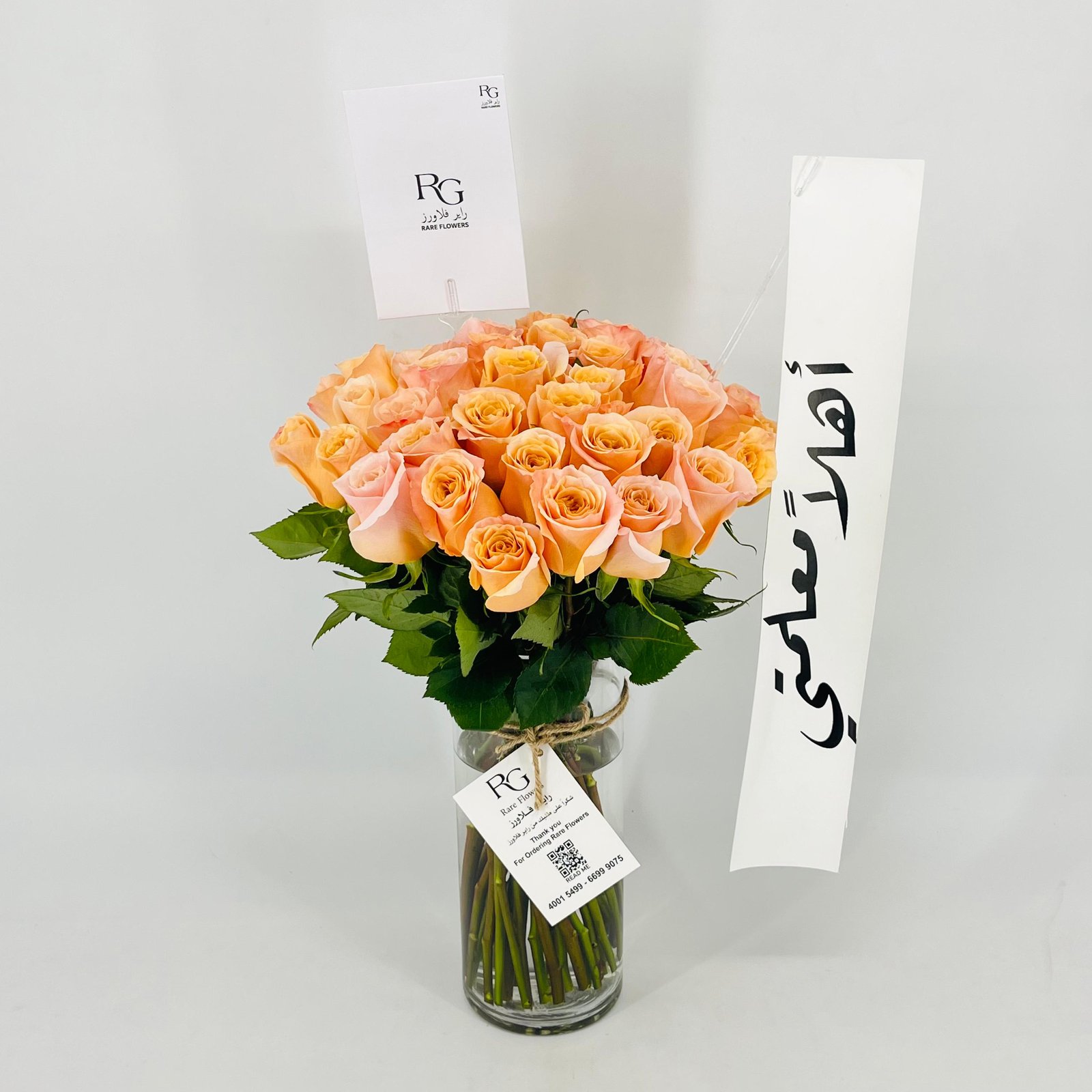 13586 - Image 4