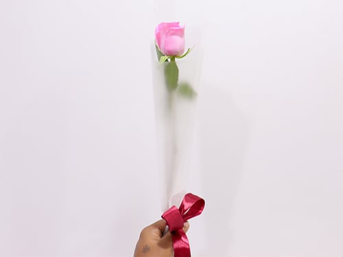 0069 - Image 3