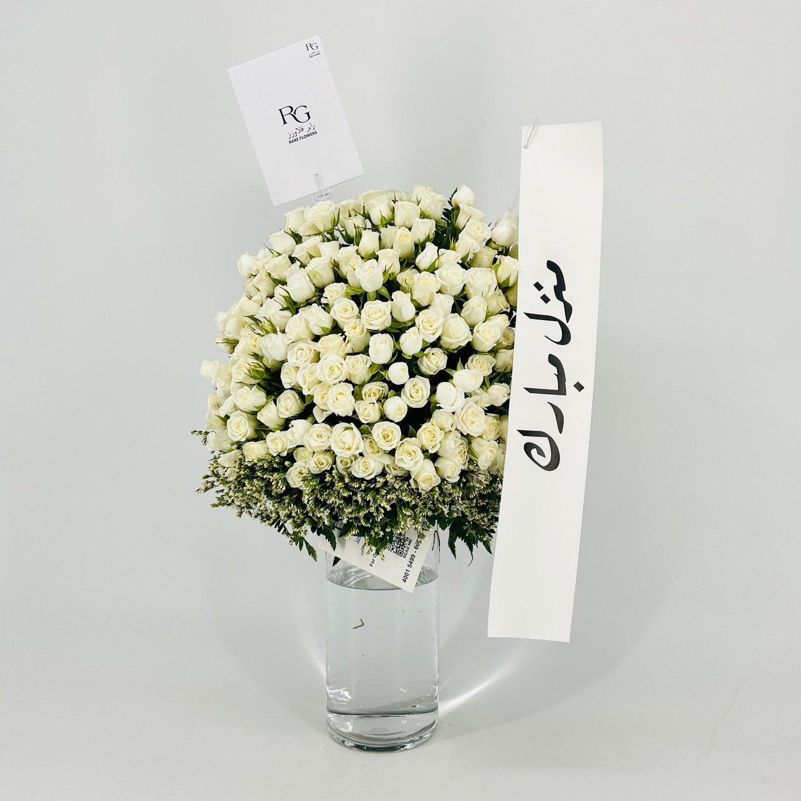 13436 - Image 3