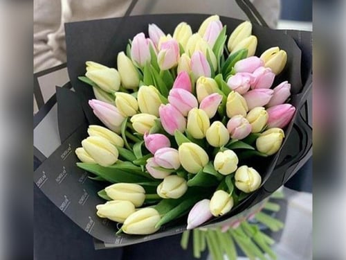 3958 - صورة 1