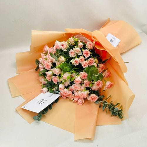 6272 - صورة 2