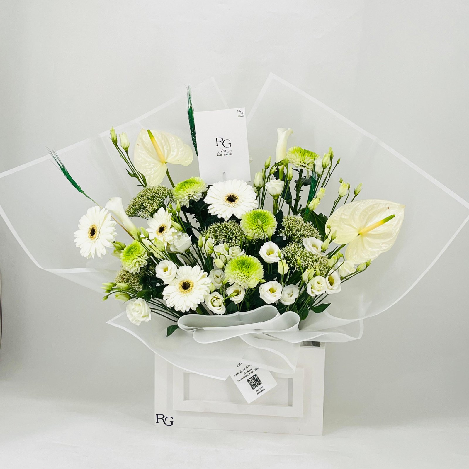 11751 - Image 1