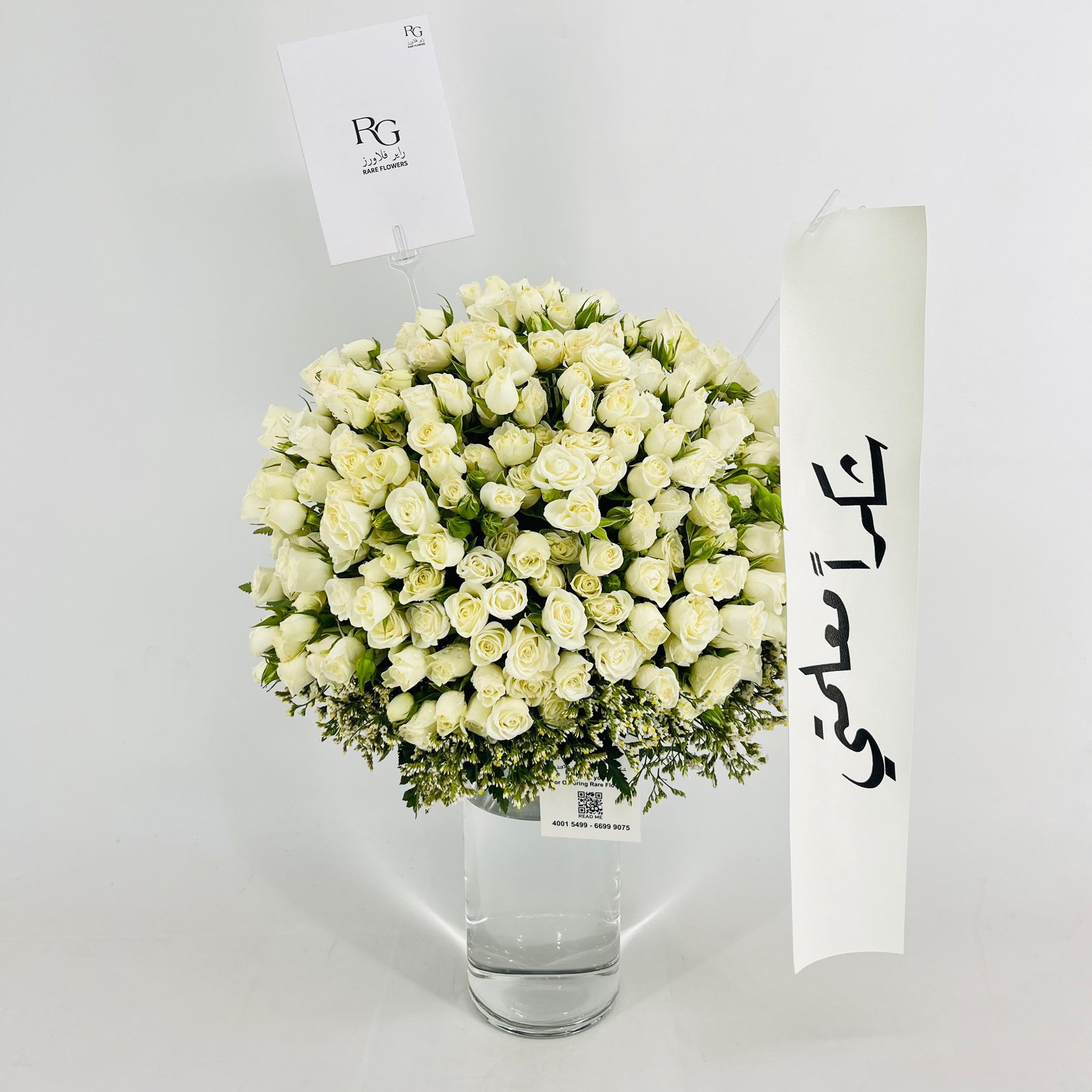 13915 - صورة 4