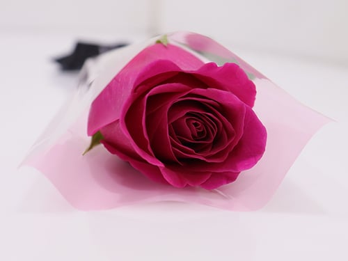 0041 - صورة 4