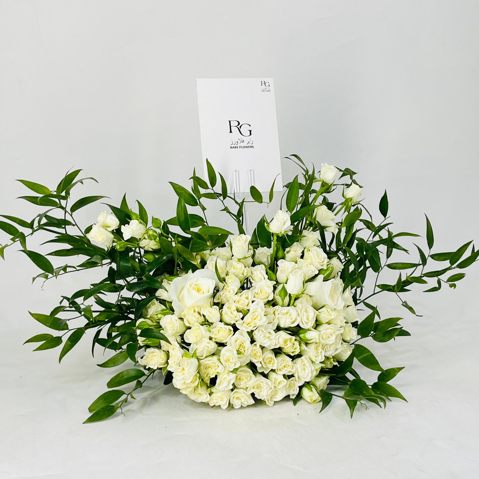 12064 - Image 2