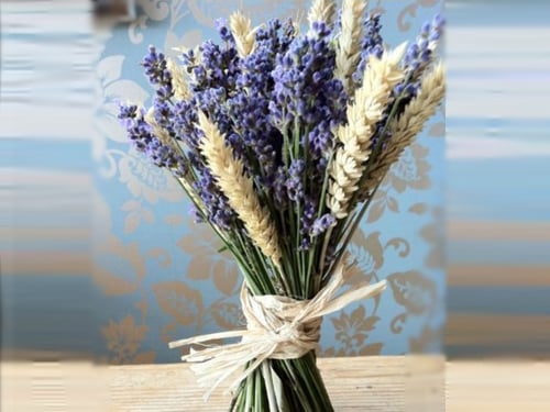 4223 - صورة 1