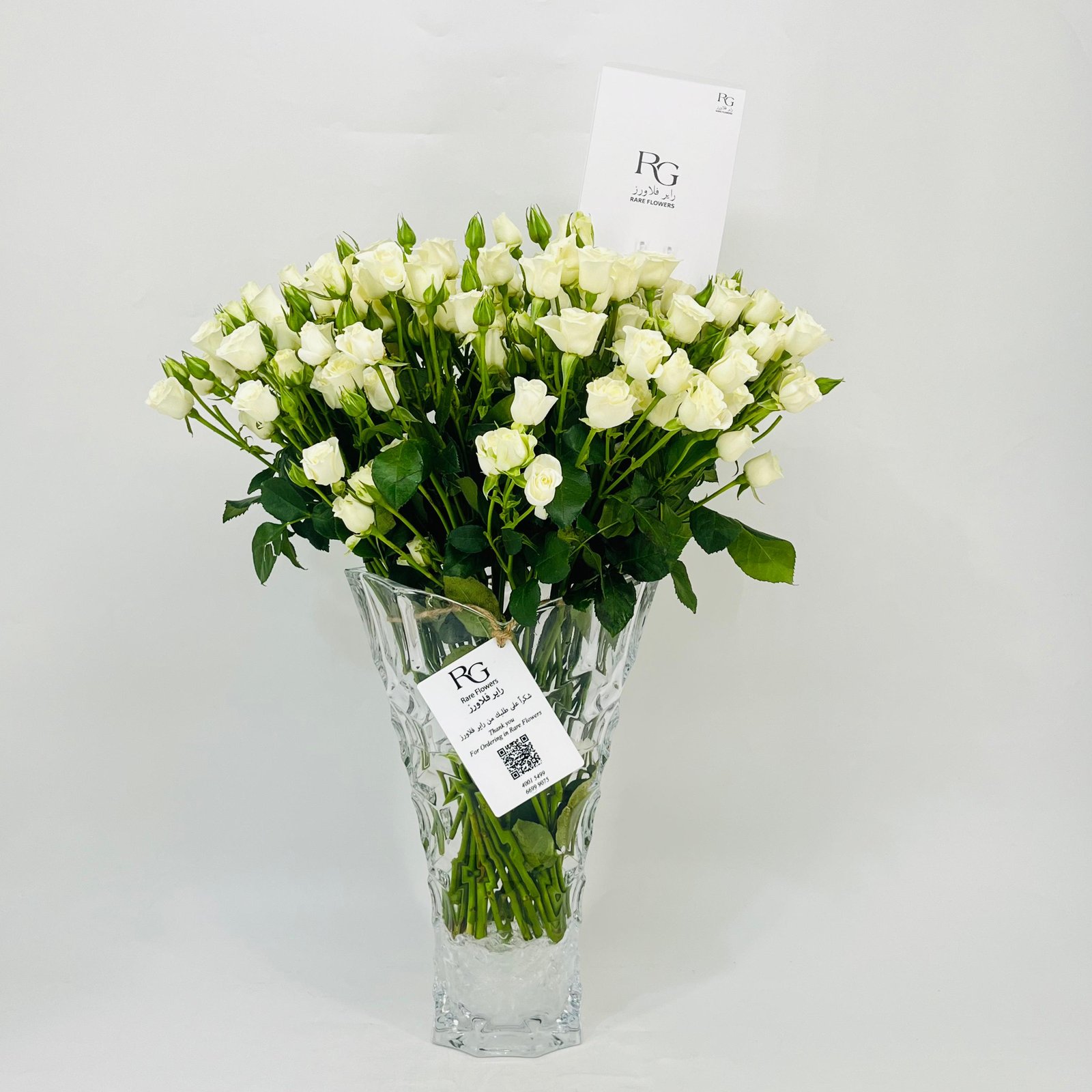 11384 - Image 1