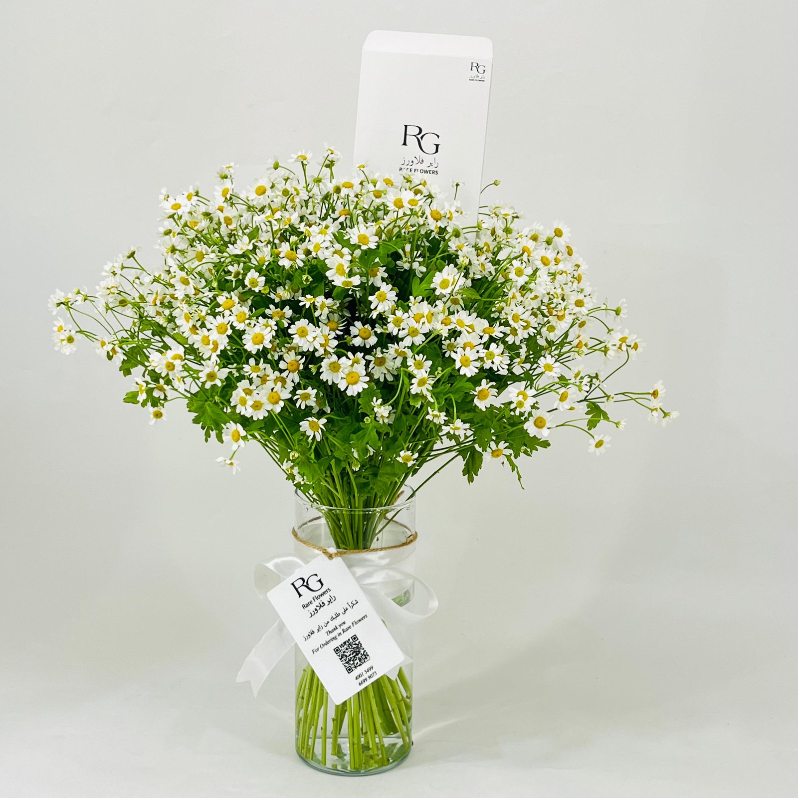 11763 - Image 1