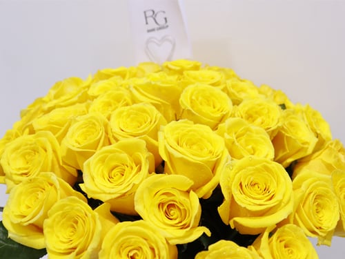 3273 - صورة 2