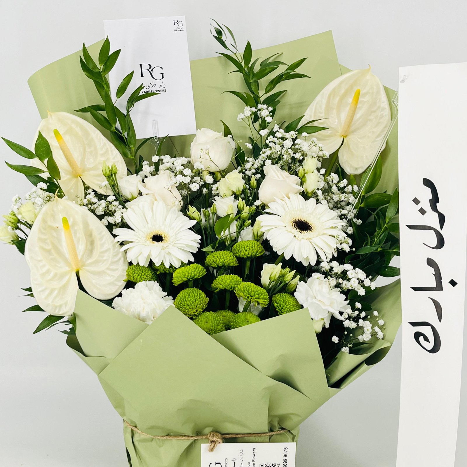 13523 - صورة 3