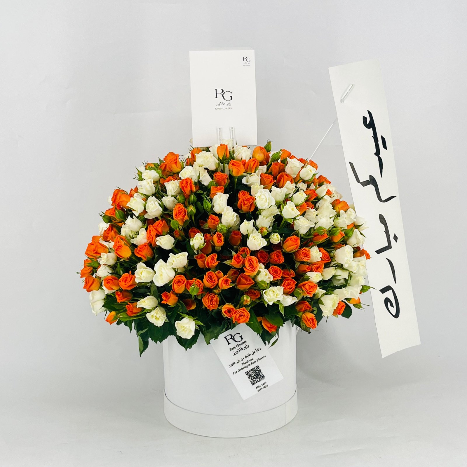 12771 - صورة 2