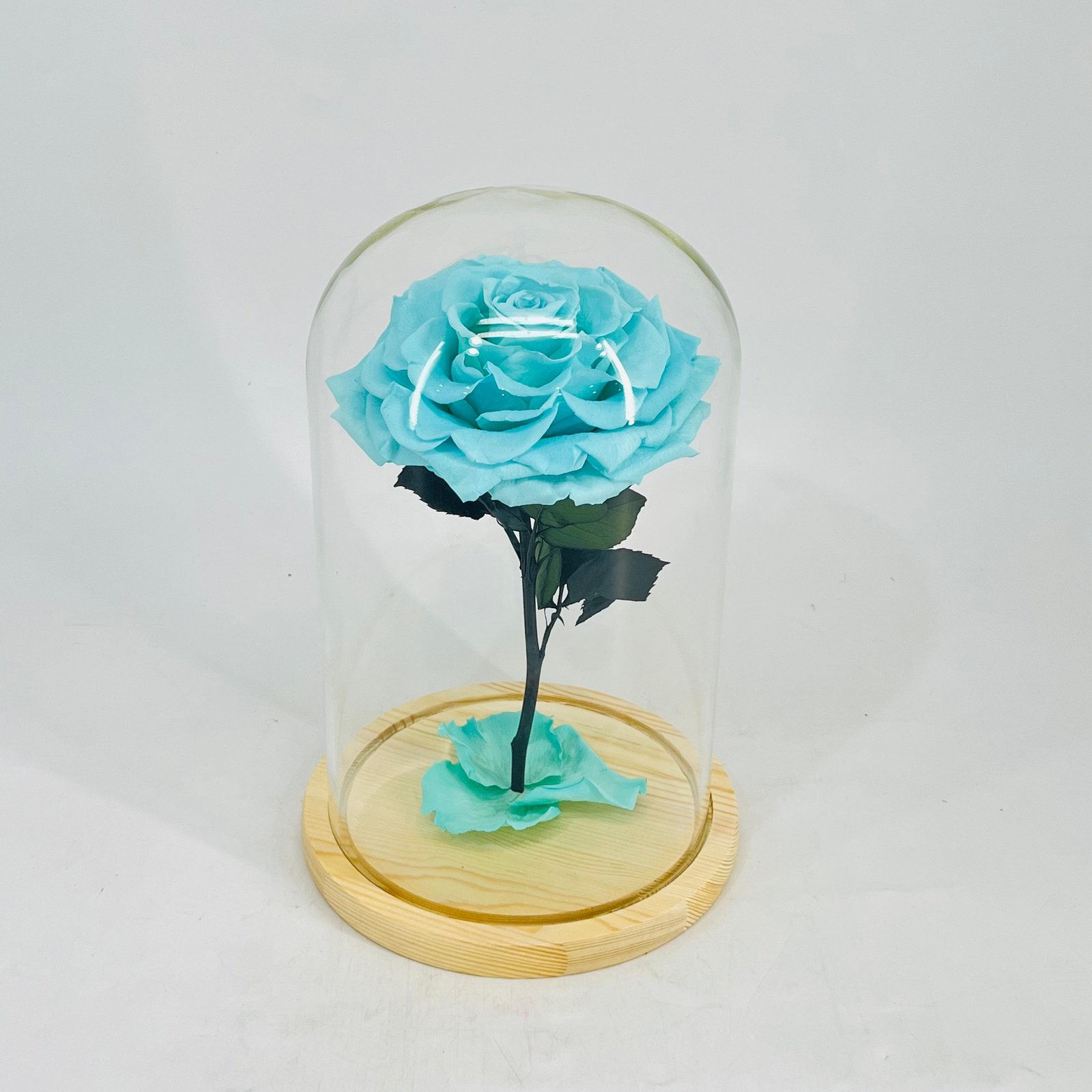 11241 - Image 1