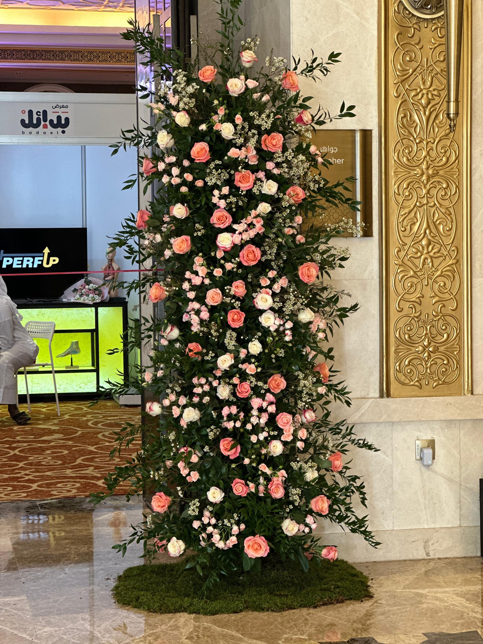 12902 - صورة 1