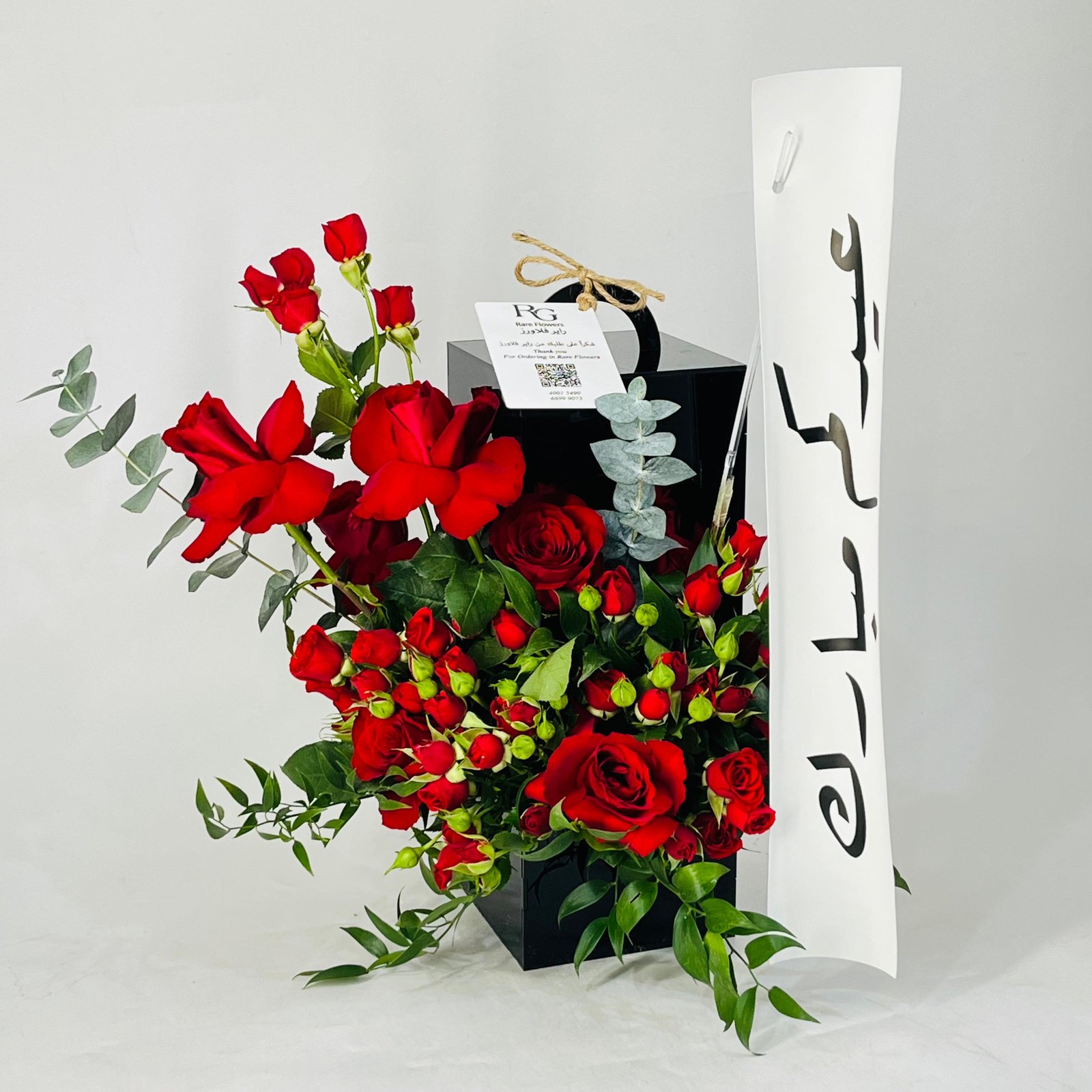 12147 - صورة 2
