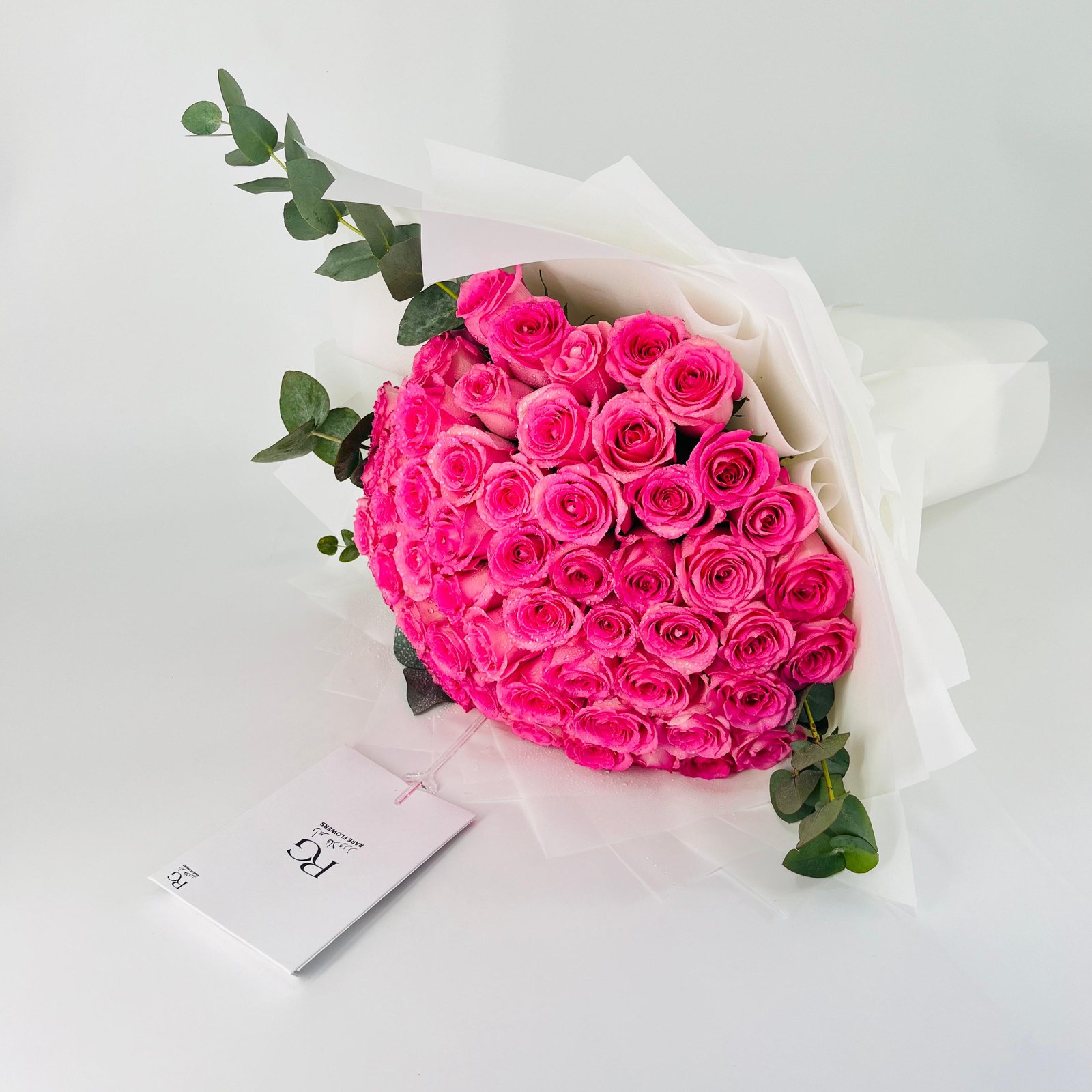 14206 - صورة 2