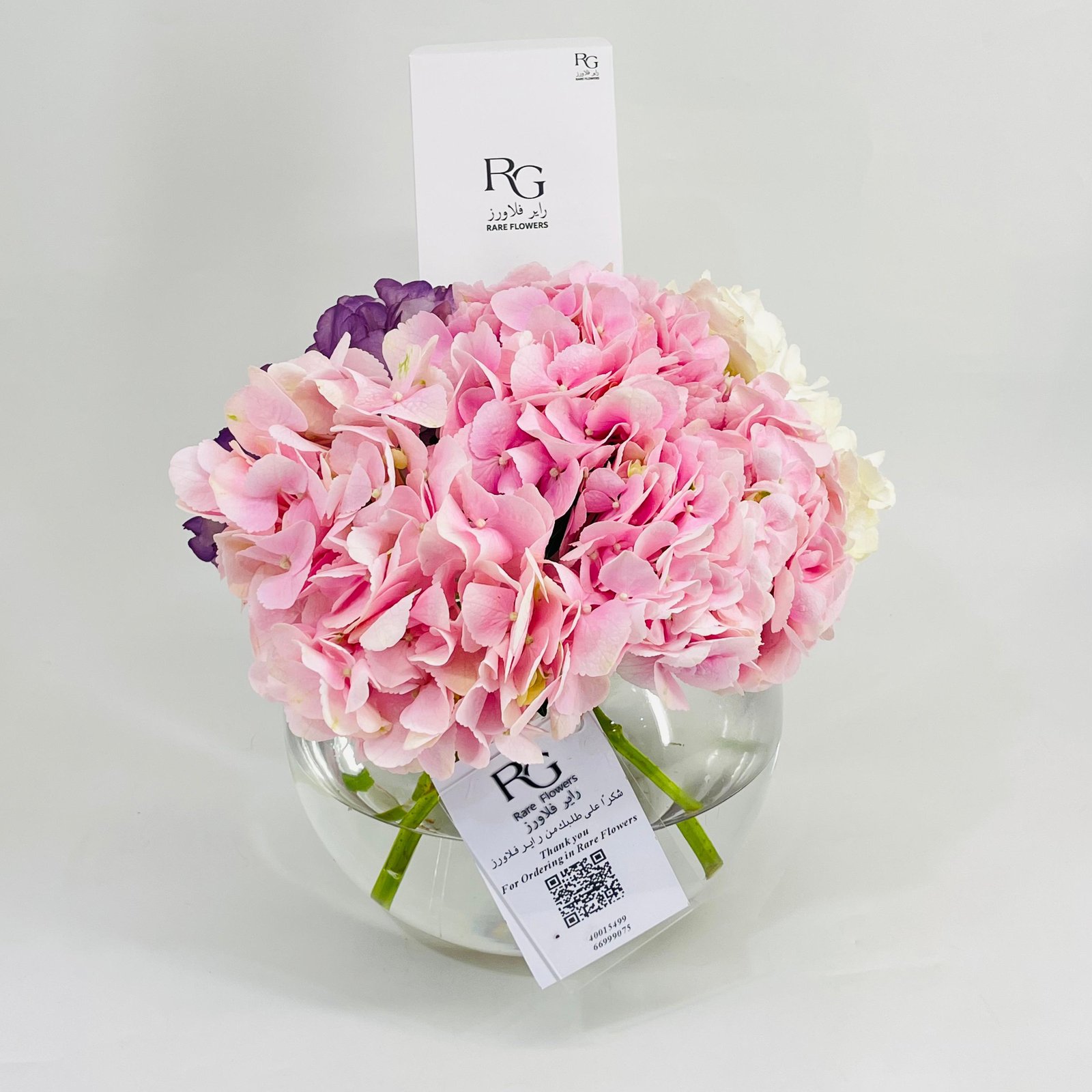 10262 - Image 4