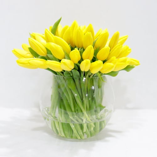 3179 - صورة 1