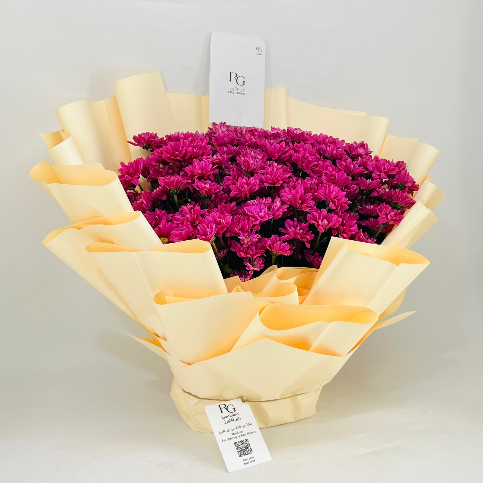 11373 - Image 2