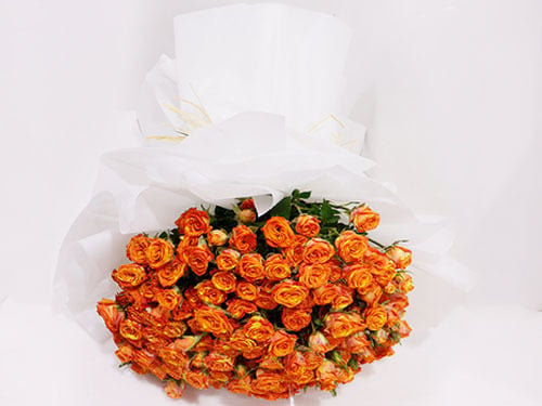 0076 - صورة 1