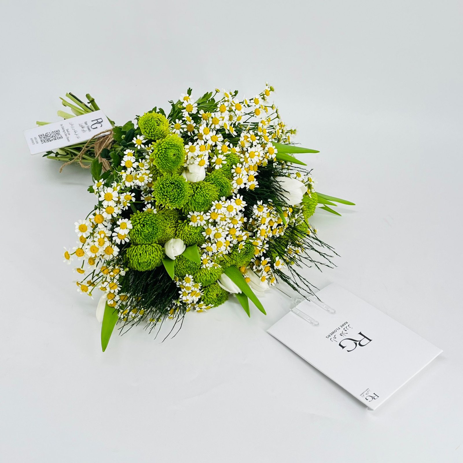 9036 - صورة 3