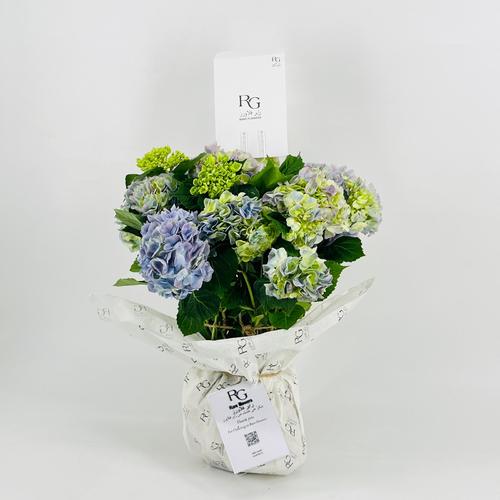 Hydrangea 5 flower No.9527 - Image 3