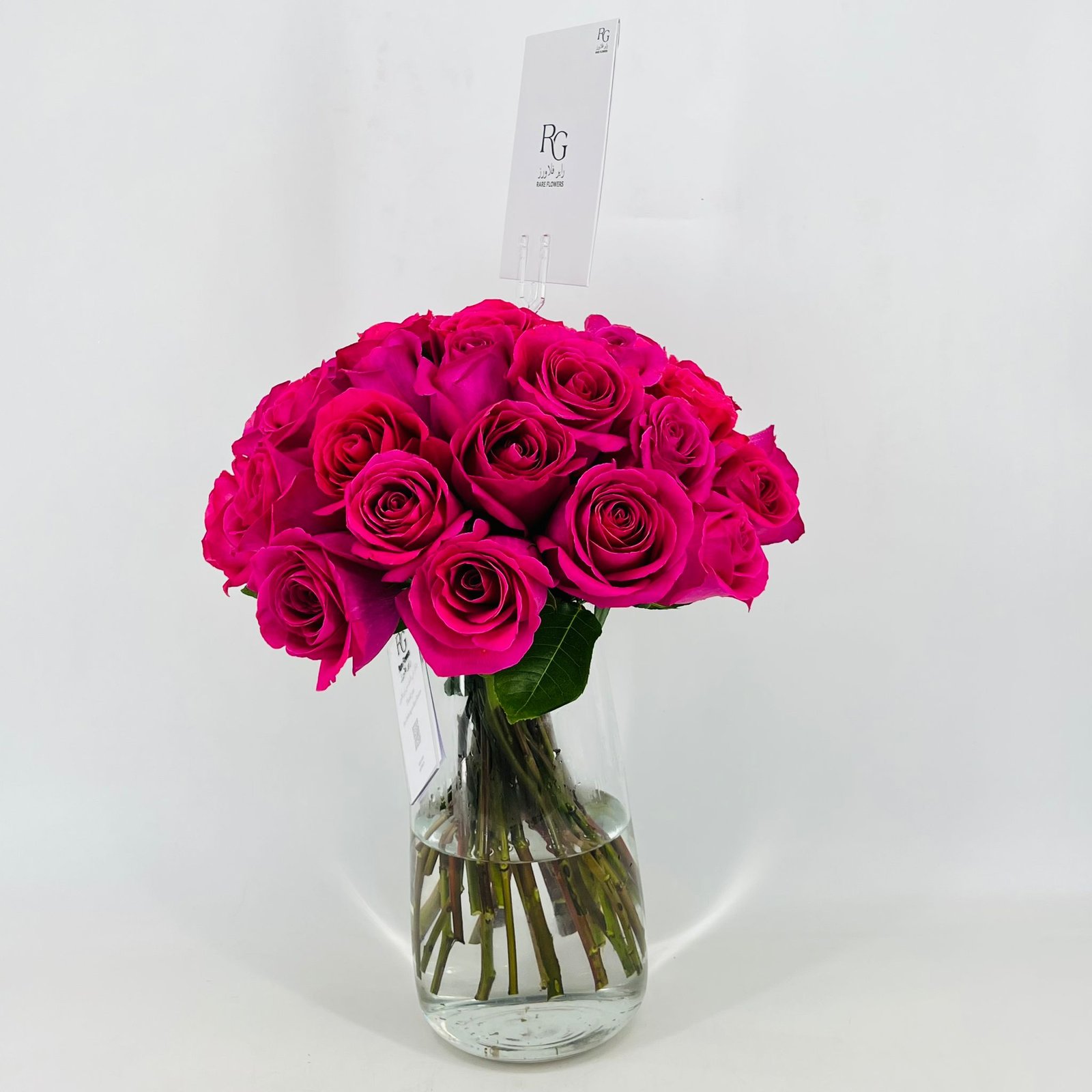 4995 - صورة 2