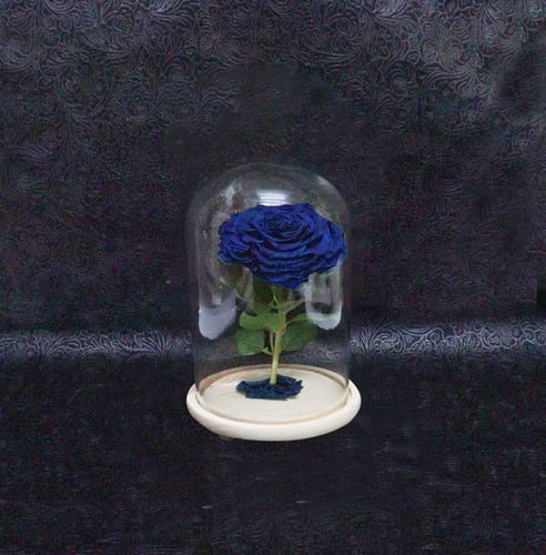2221 - Image 1