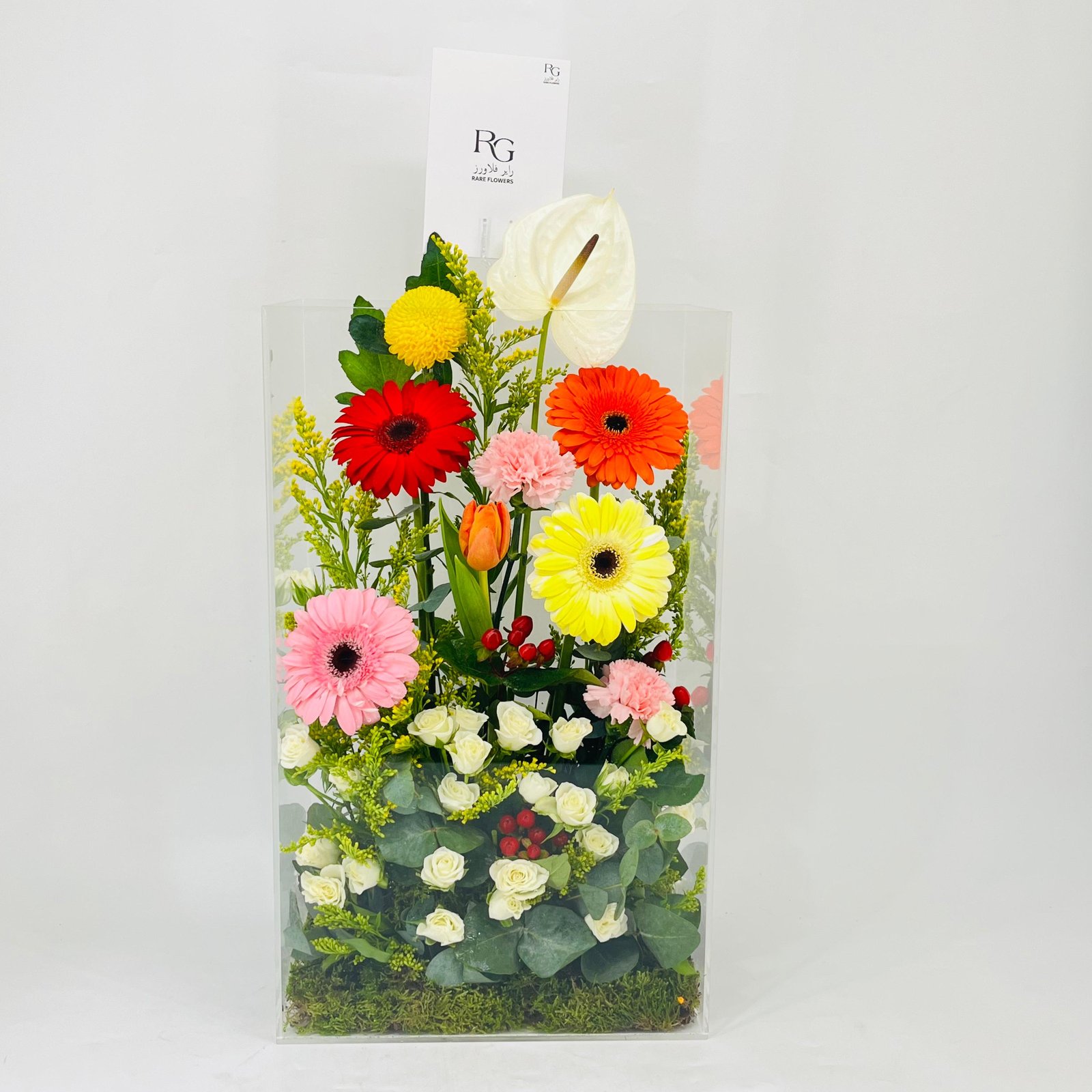 11418 - Image 1
