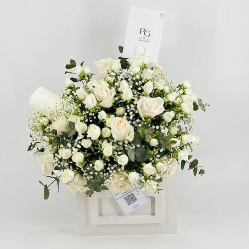 9498 - صورة 1