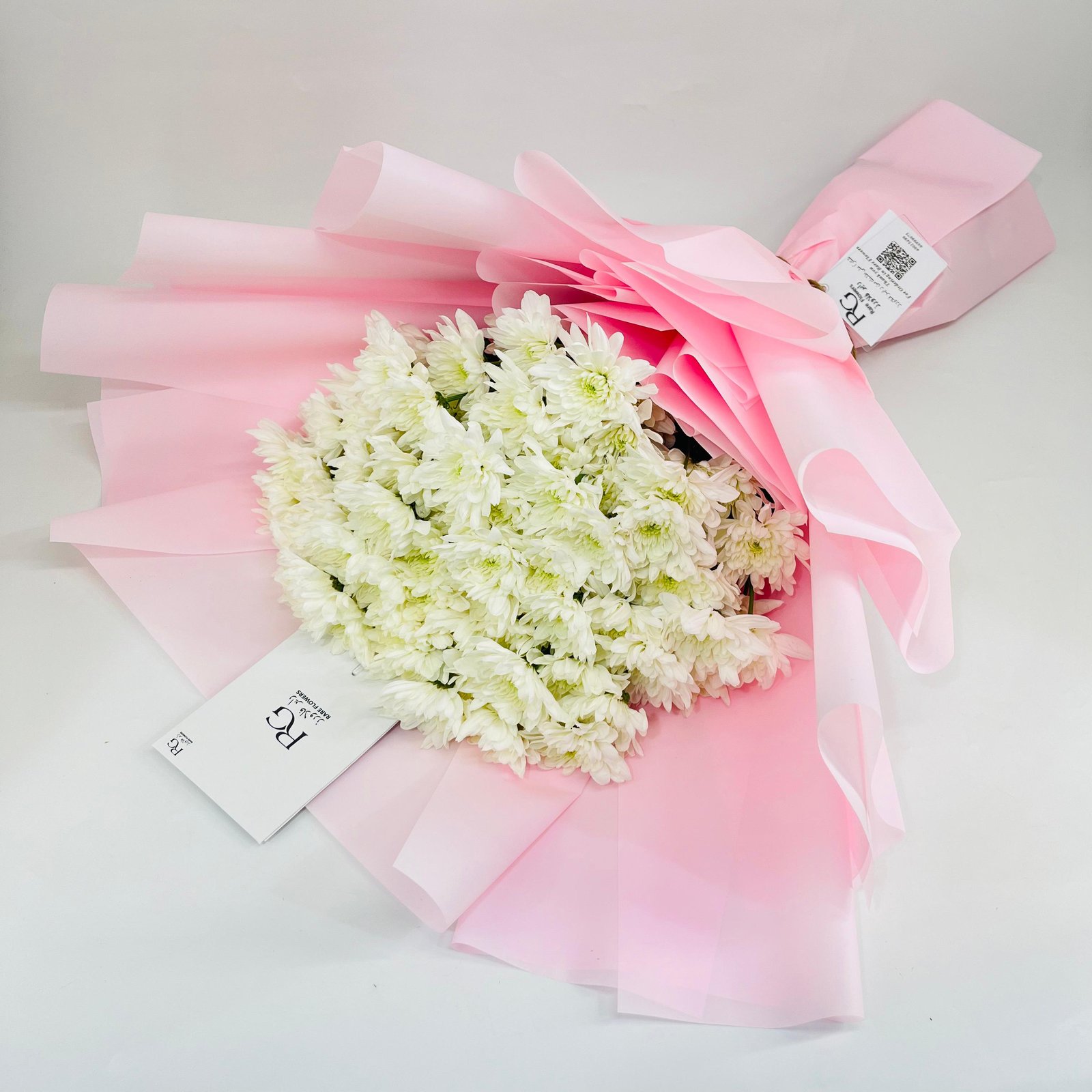 10909 - Image 1