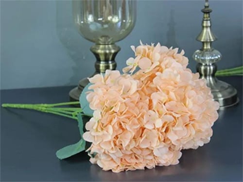 4289 - صورة 1