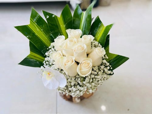 3955 - صورة 1