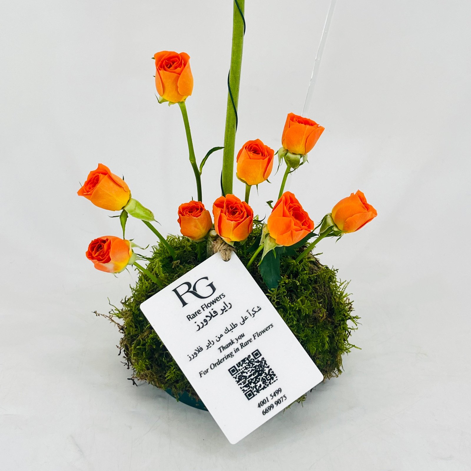 12524 - Image 2