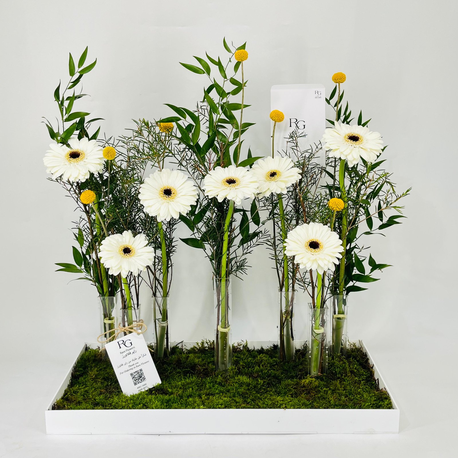 11587 - Image 1