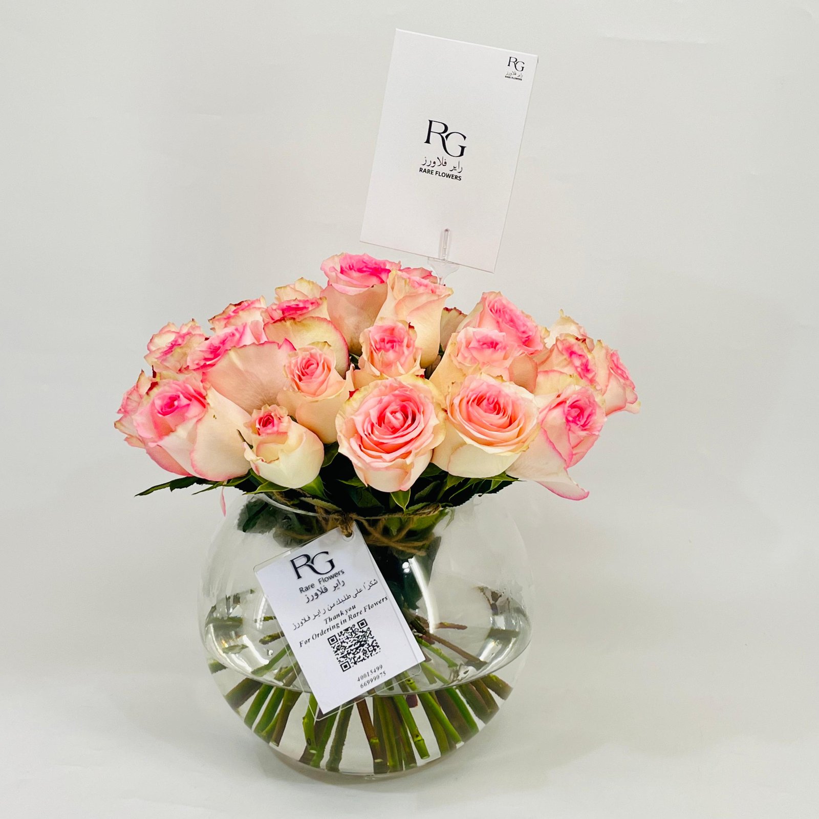 10795 - Image 3