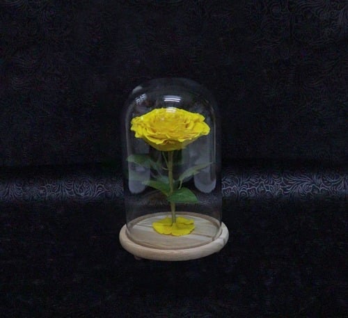 2213 - Image 1