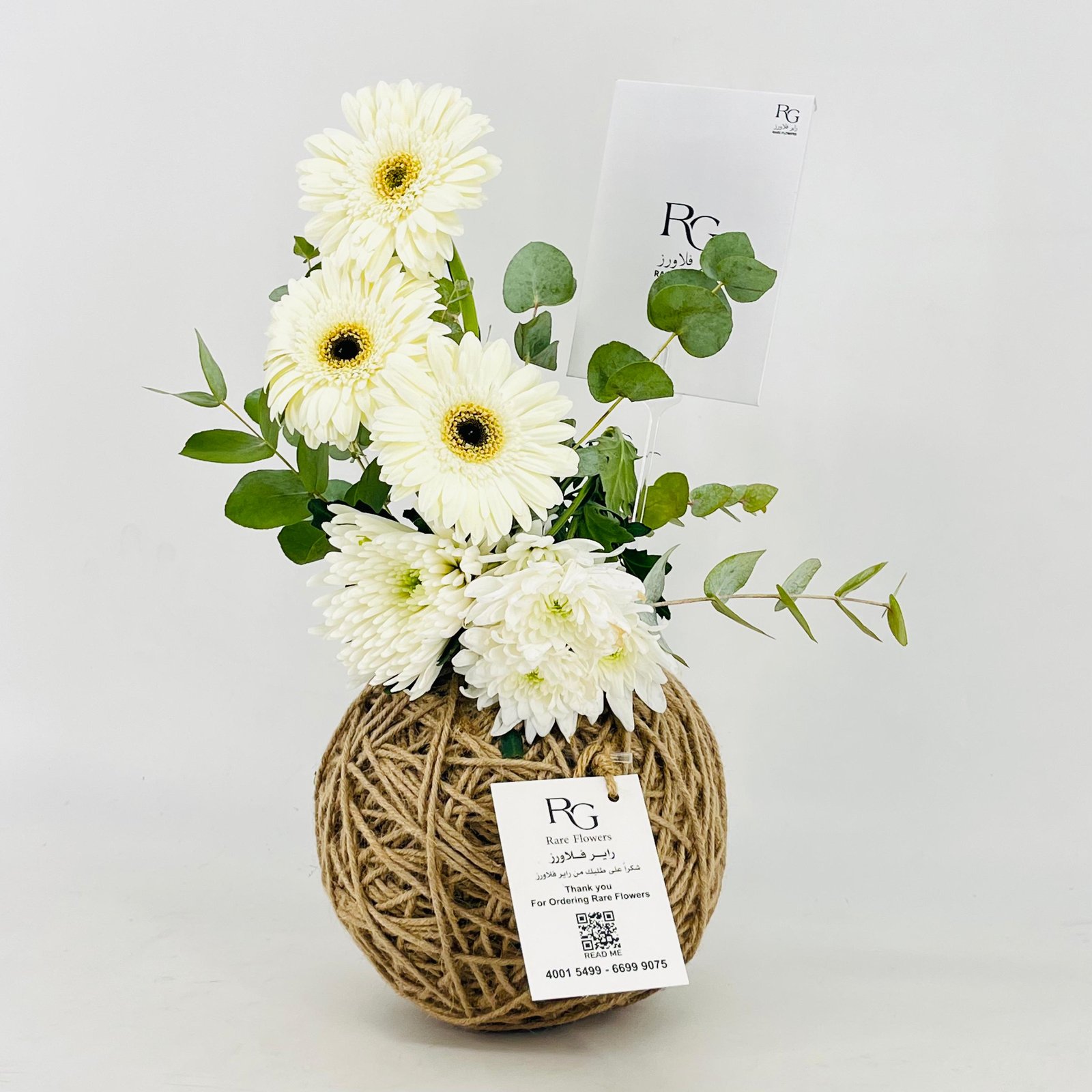 13676 - Image 3