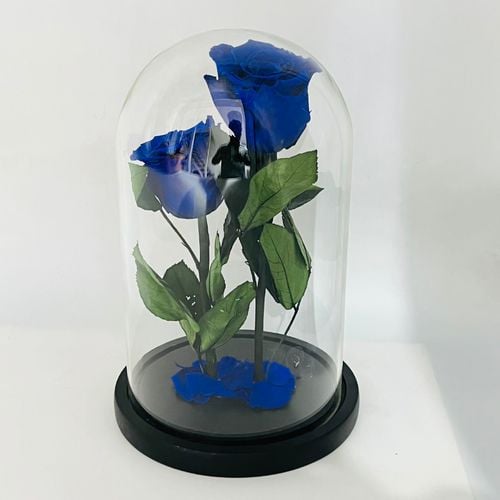 4272 - Image 2
