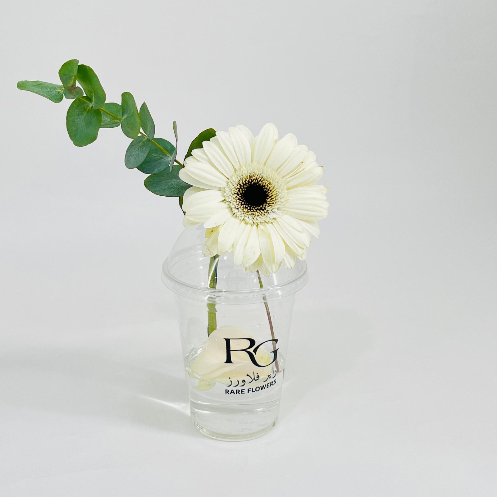 10799 - Image 2