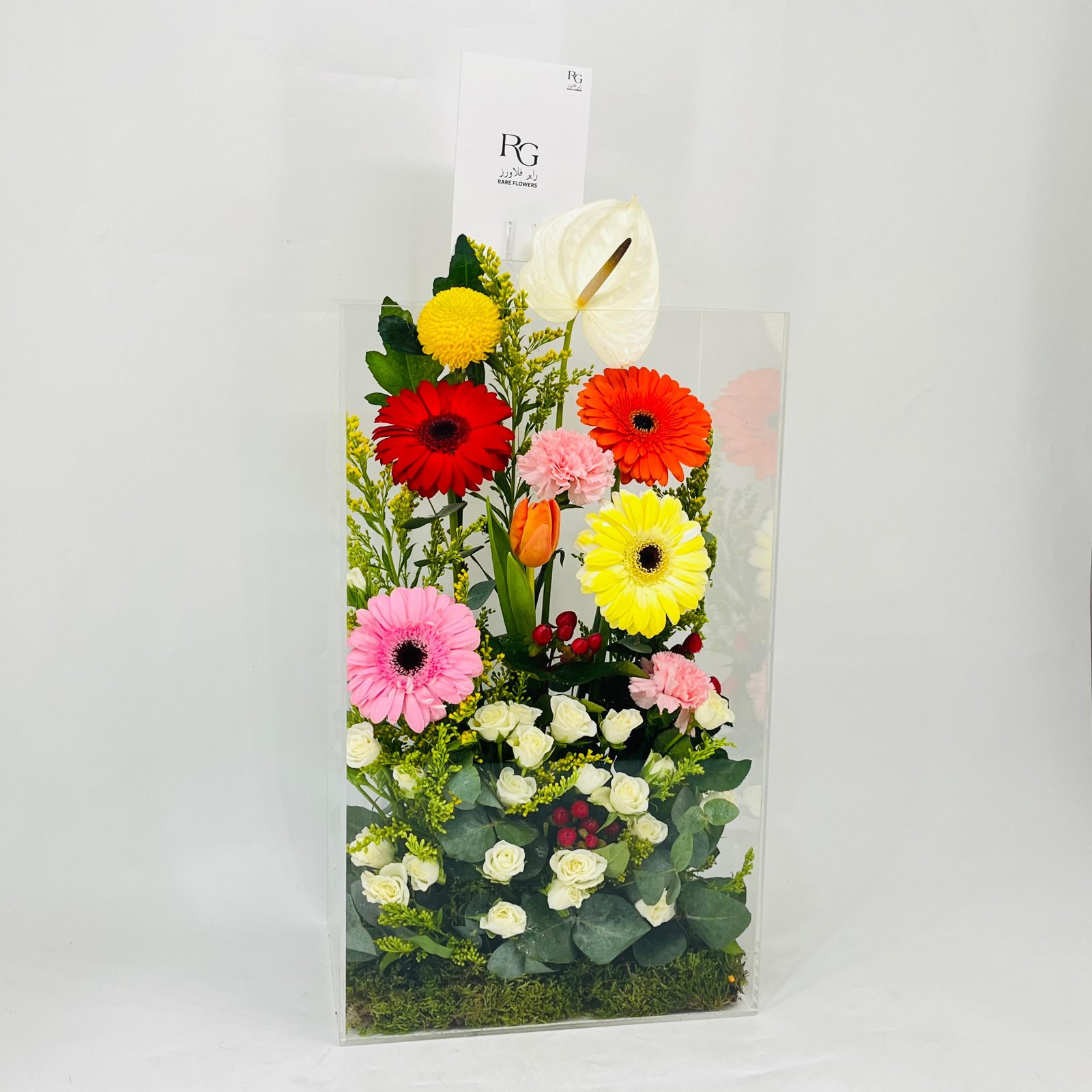 11418 - Image 2