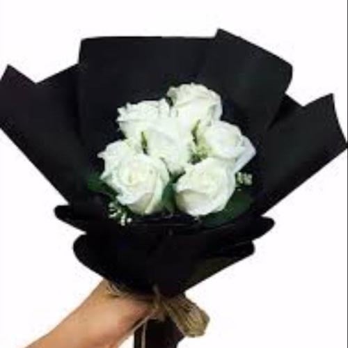 062 - صورة 1