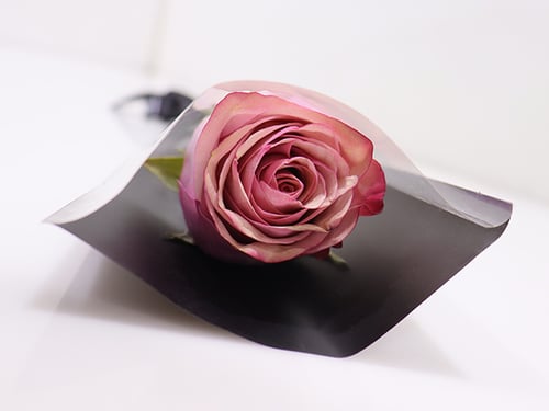 038 - صورة 3