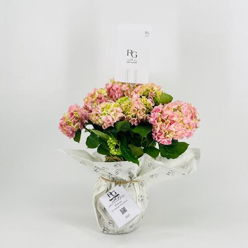 Hydrangea 5 flower No.9528 - Image 2