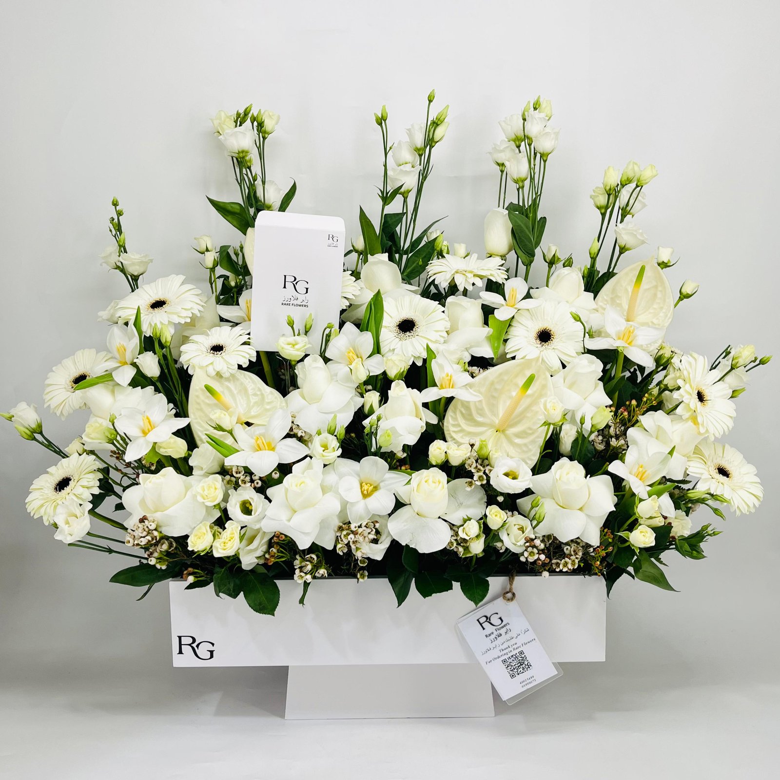 6836 - Image 1