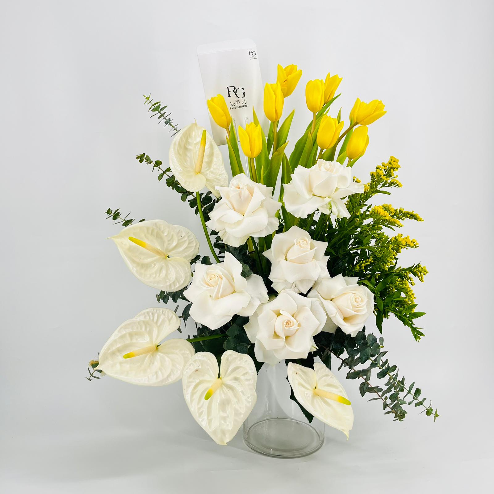 9135 - صورة 2