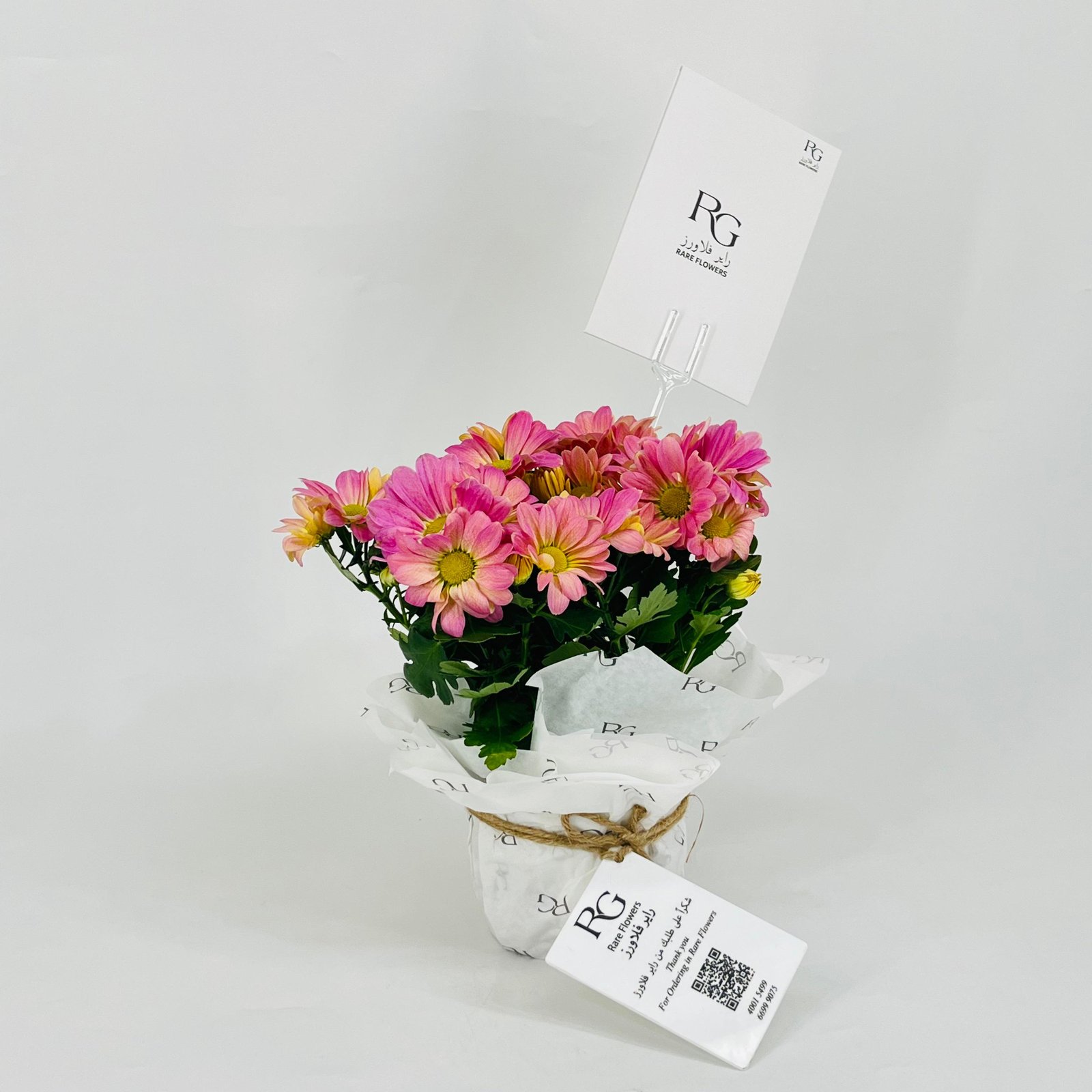 chrysanthemum purple No.9548-480 - صورة 2
