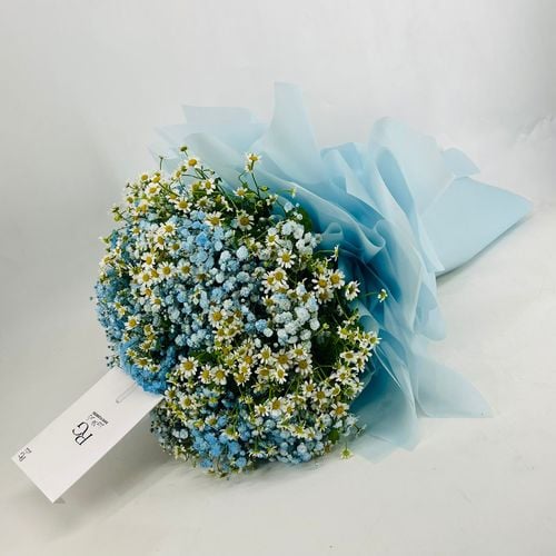 6039 - صورة 2
