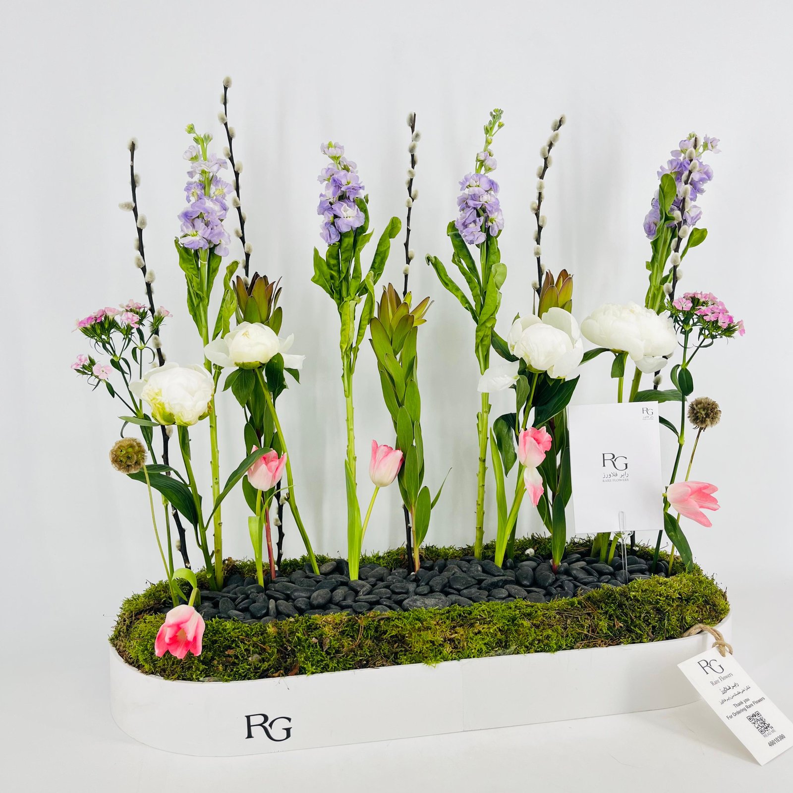 15439 - Image 3